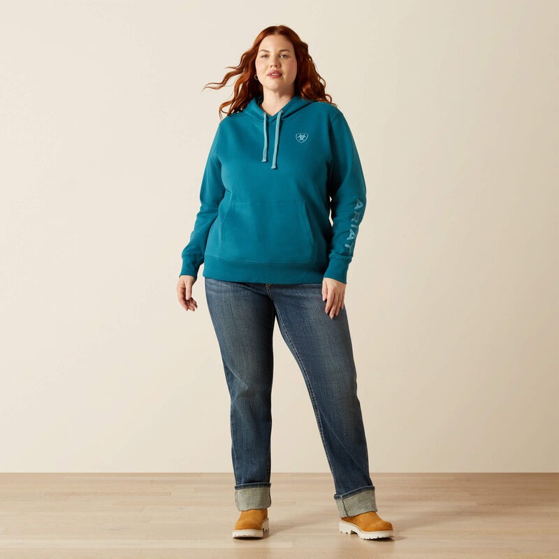 WMS Ariat Logo 2.0 Hoodie