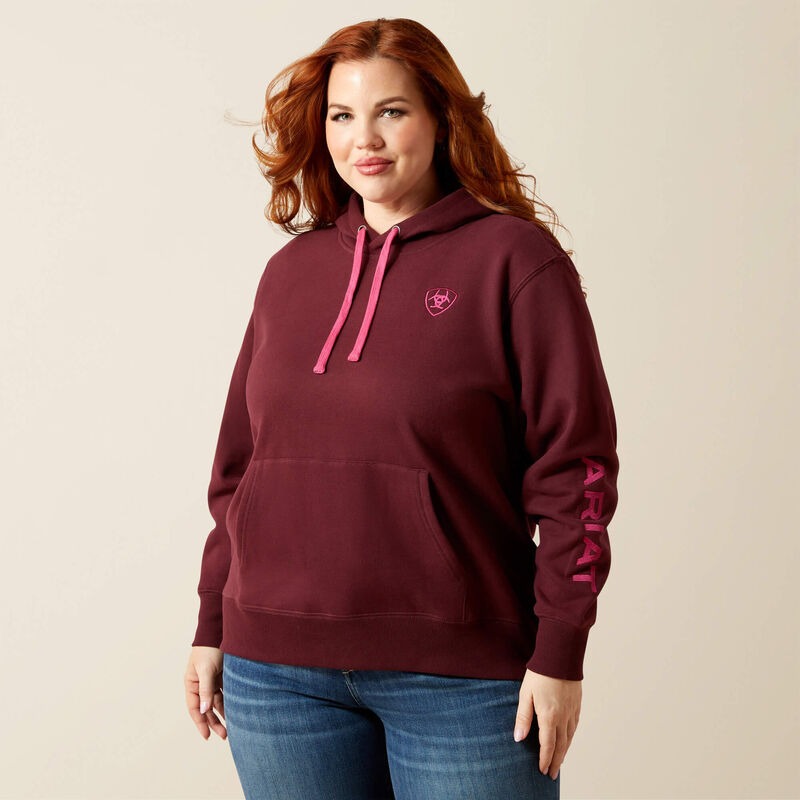 WMS Ariat Logo 2.0 Hoodie