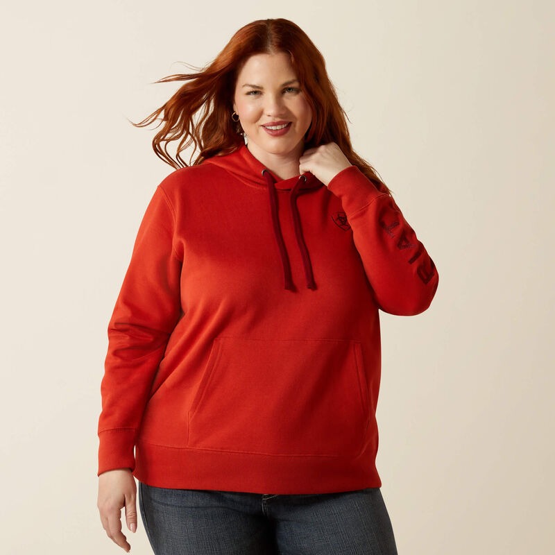 WMS Ariat Logo 2.0 Hoodie