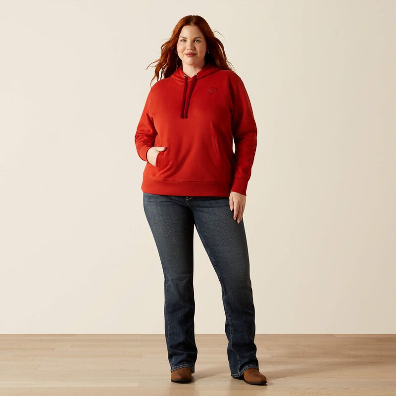 WMS Ariat Logo 2.0 Hoodie